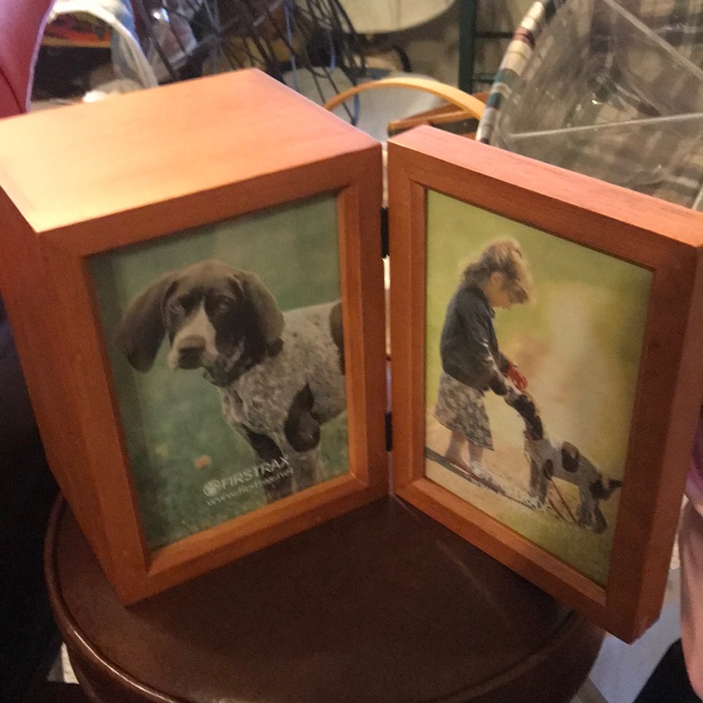 Petnation Frame Box Pet Keepsake Frame Box